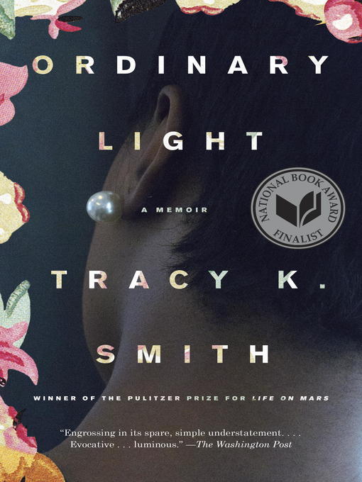 Cover image for Ordinary Light